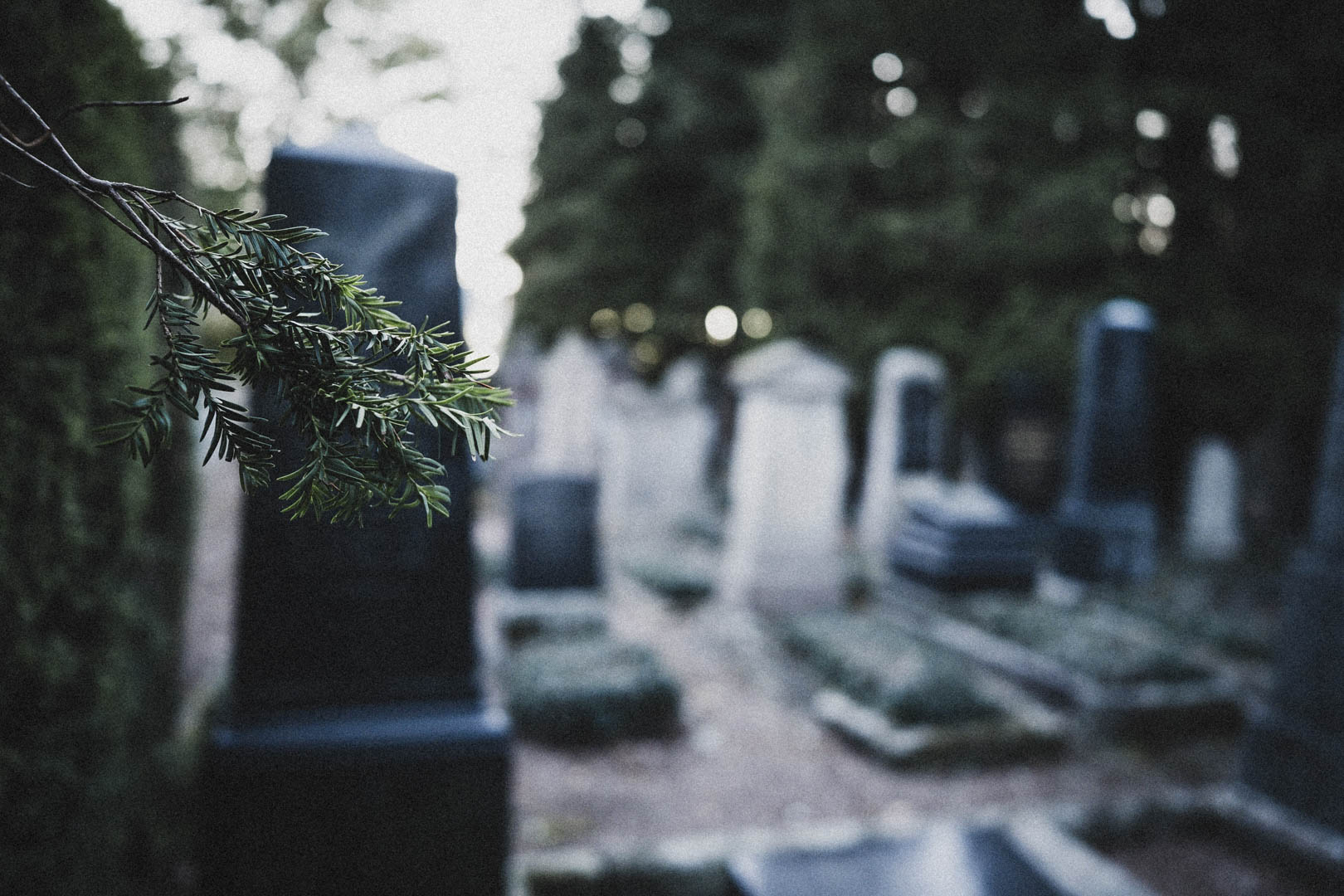 Paderborn, Jüdischer Friedhof